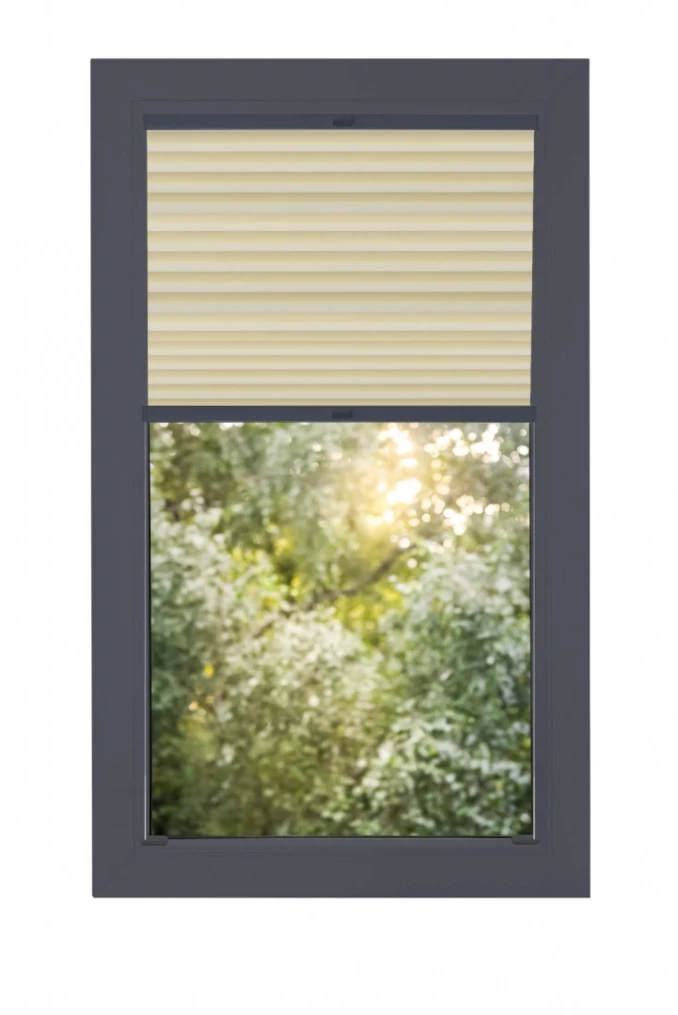 Прозоречно плисе